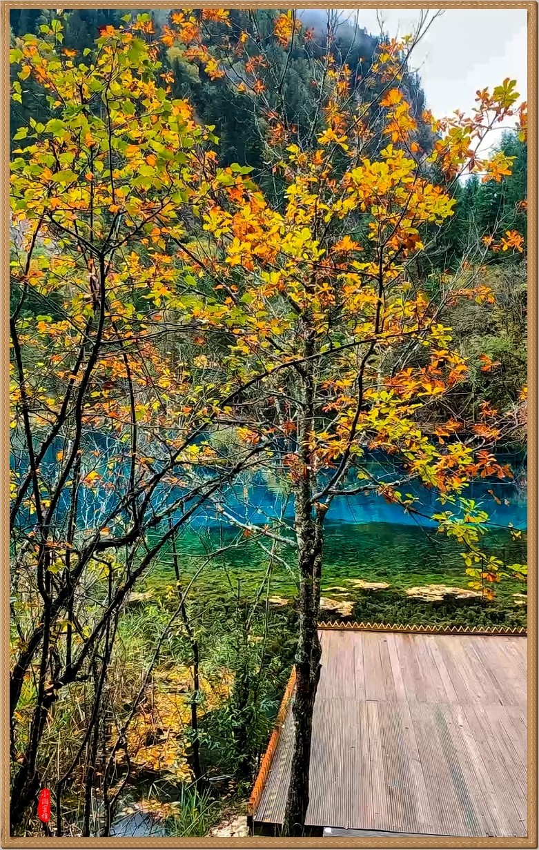 2022年九寨沟云拍-54