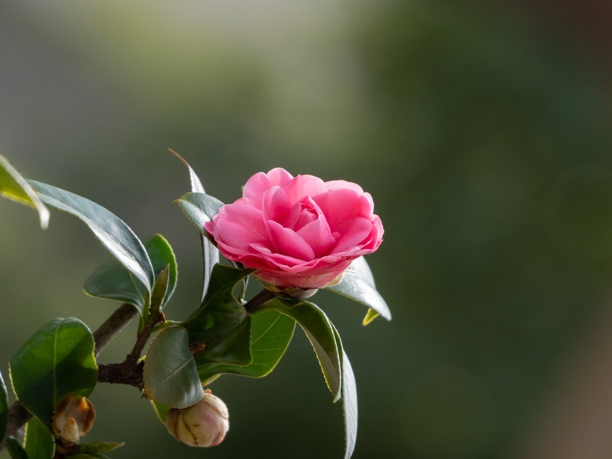 #版主坐堂# 小五星空(中国)2023年2月精品荟萃