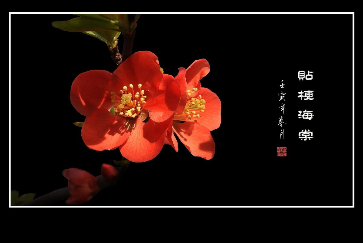 #版主坐堂# 小五星空(中国)2023年2月精品荟萃