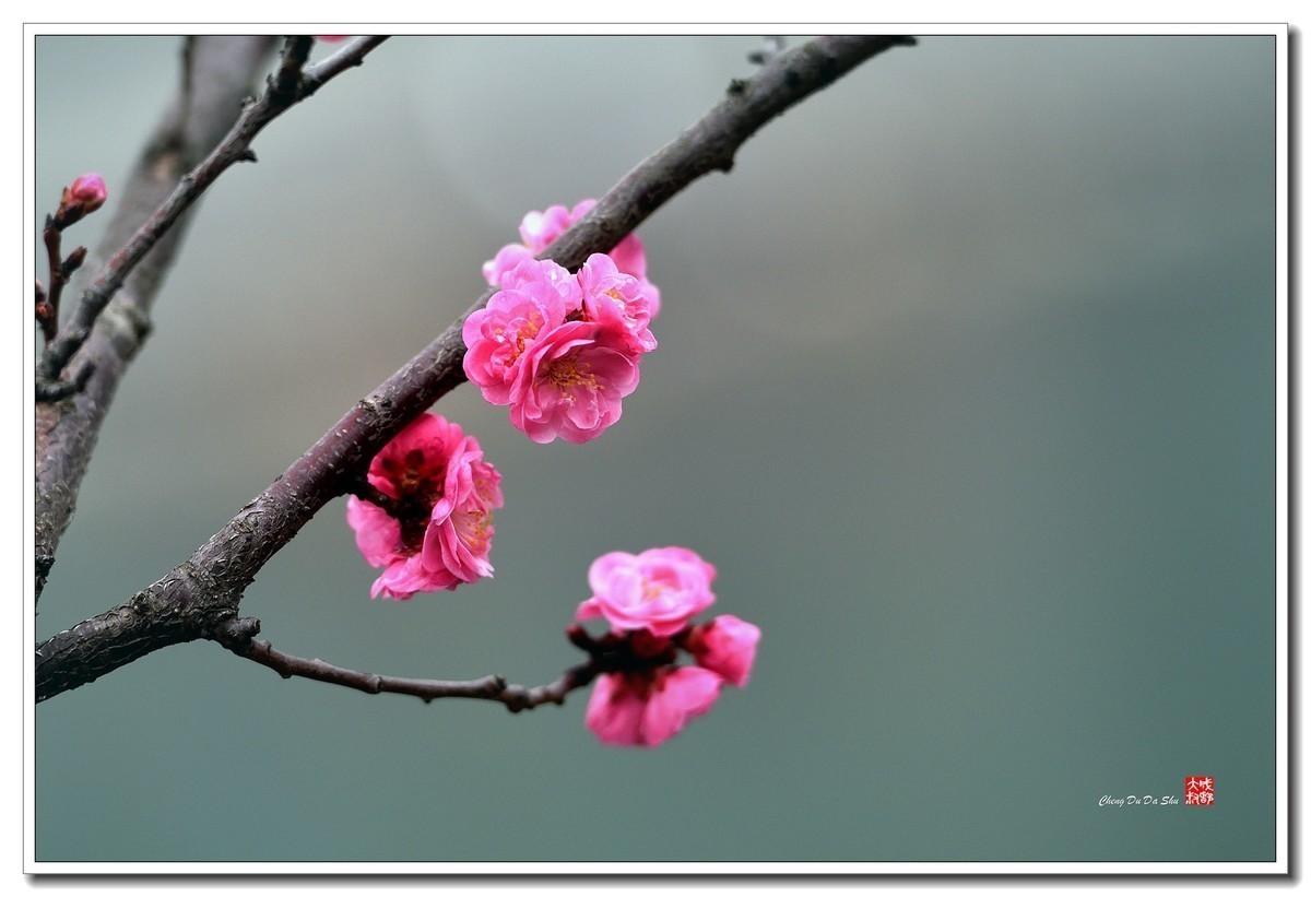 #版主坐堂# 小五星空(中国)2023年2月精品荟萃