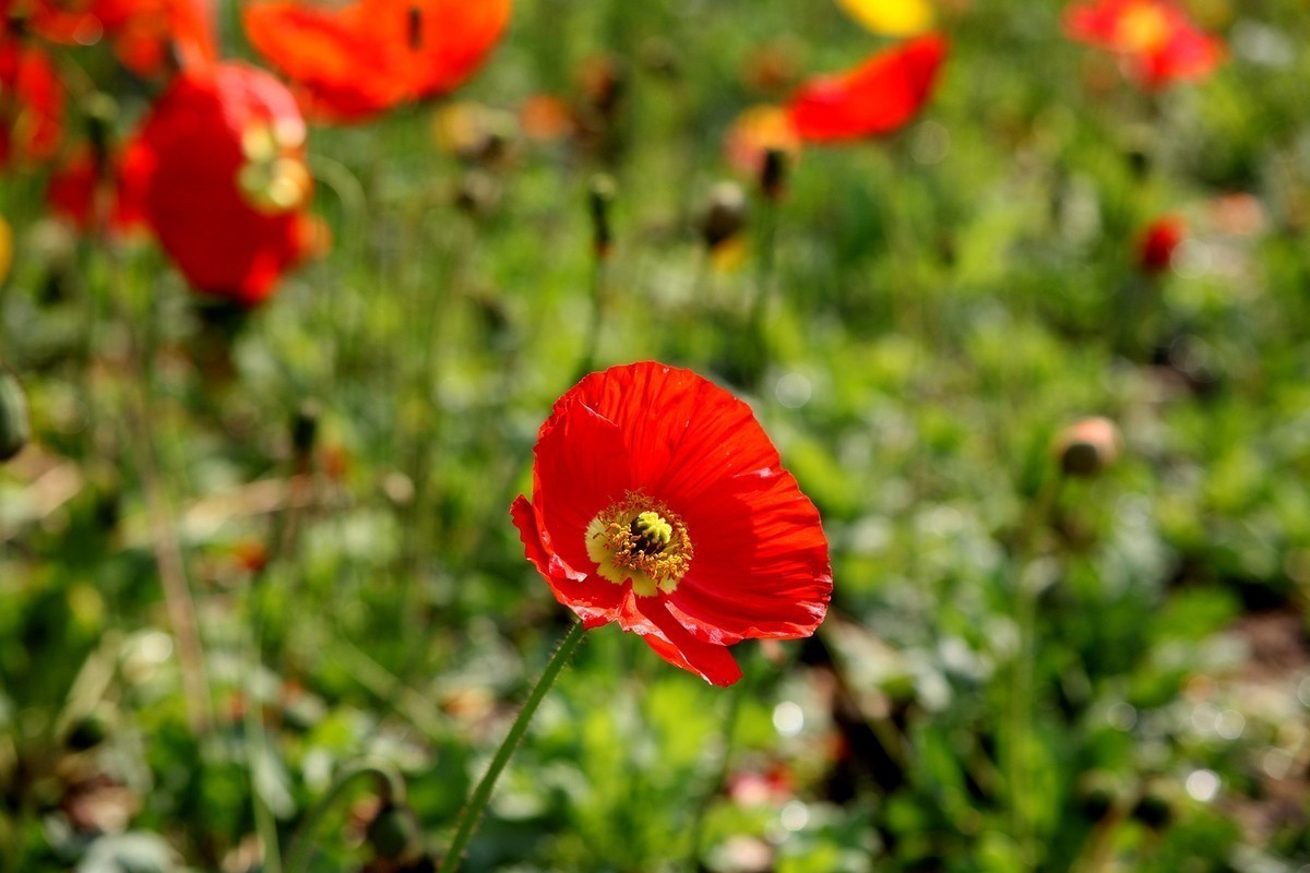 #版主坐堂# 小五星空(中国)2023年2月精品荟萃