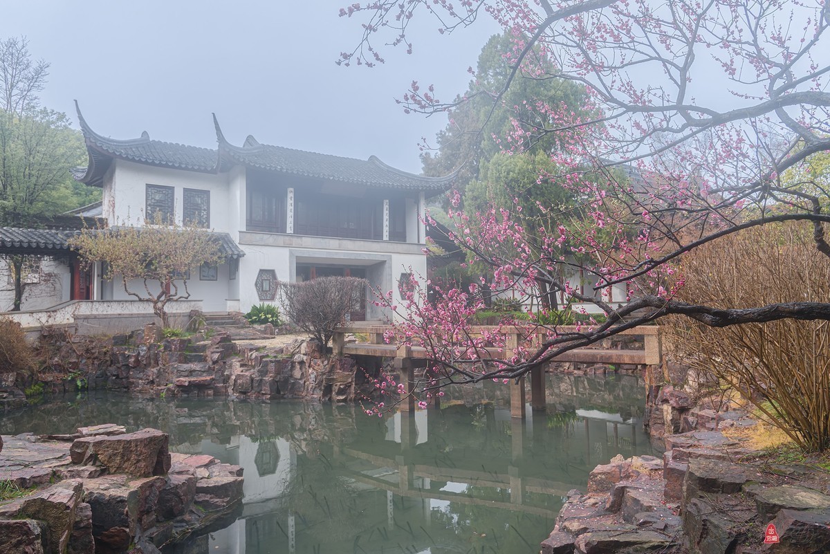 #版主坐堂# 小五星空(中国)2023年2月精品荟萃