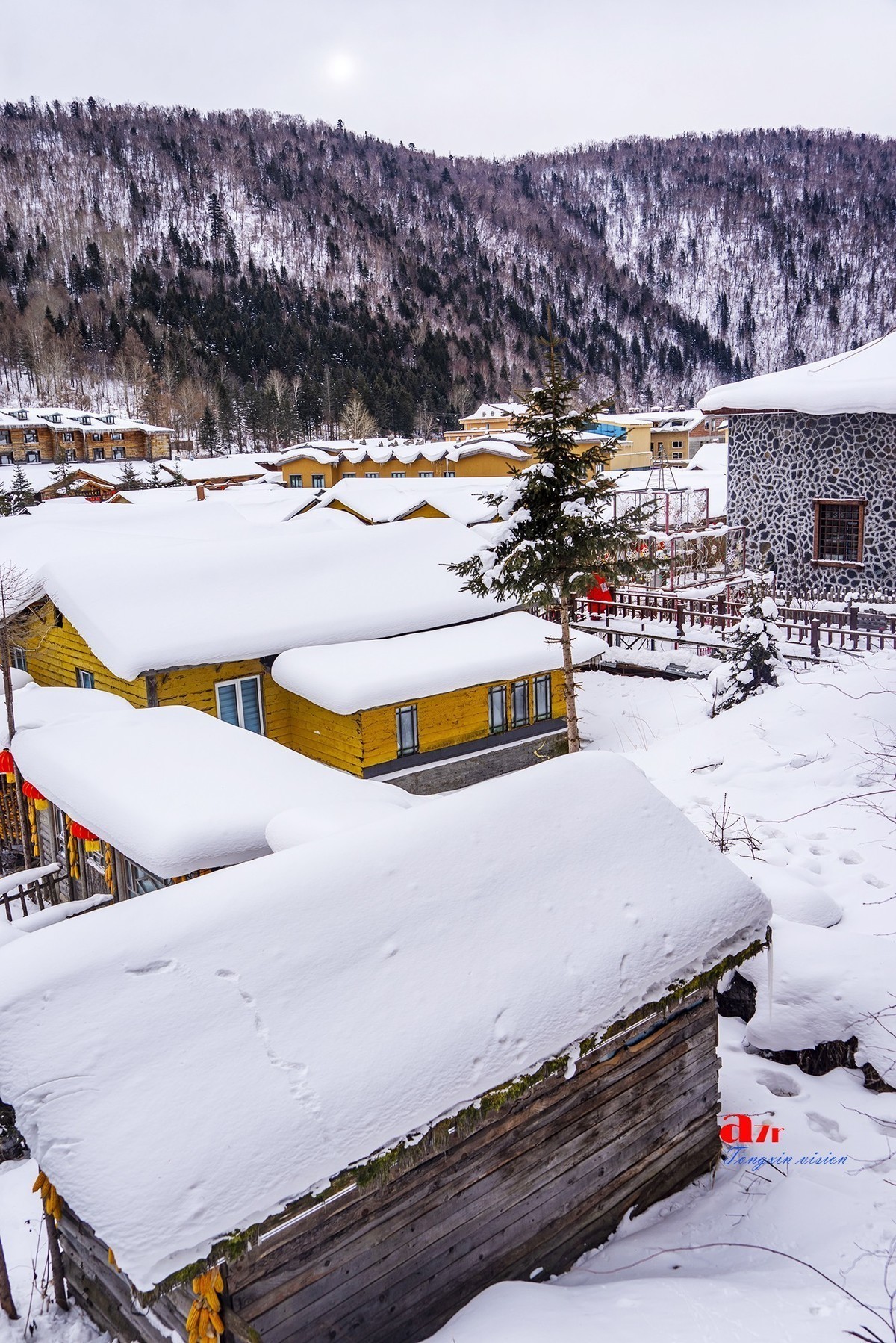 #版主坐堂# 小五星空(中国)2023年2月精品荟萃