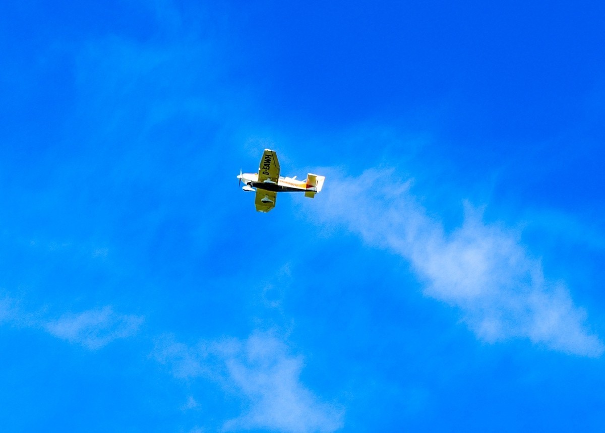摄鸟（请假篇）：请假一个月，敬请大版们关注支持本星空(中国)！！！