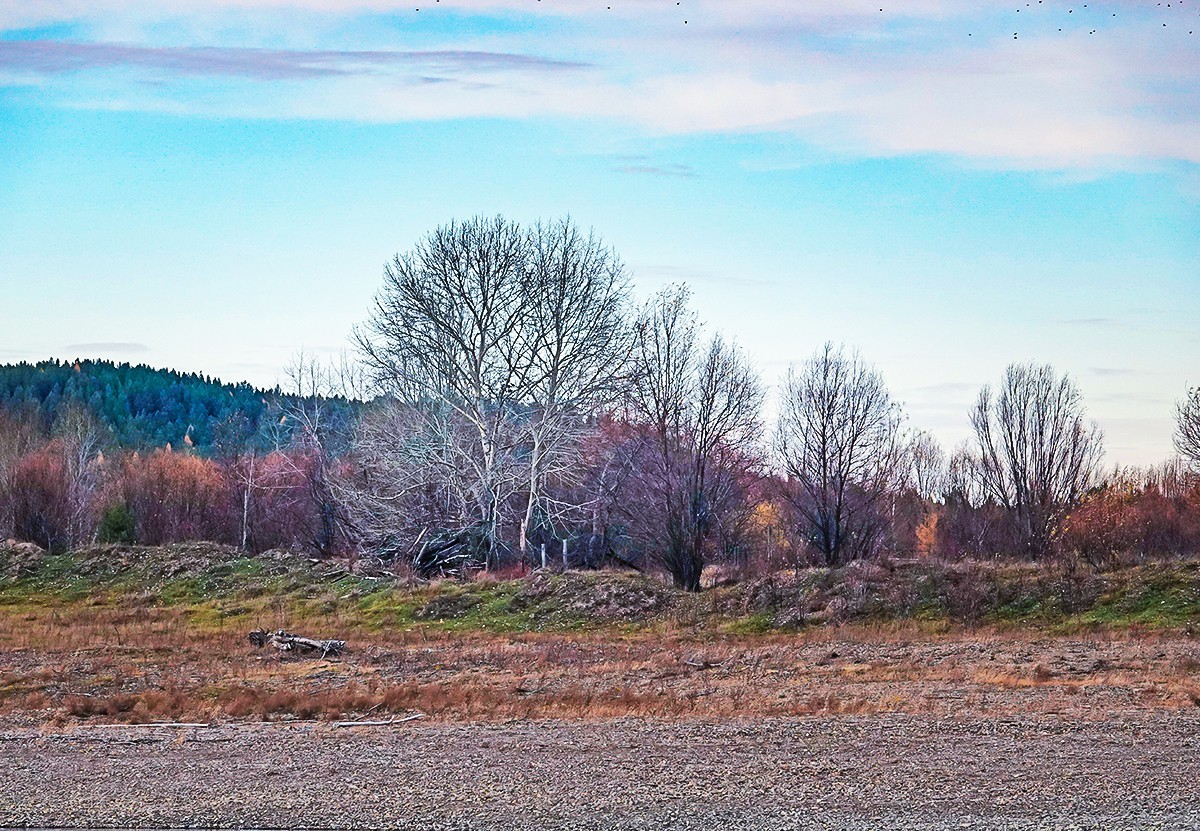 国庆跟团游#游船上远眺彩林掩映下的俄罗斯村庄