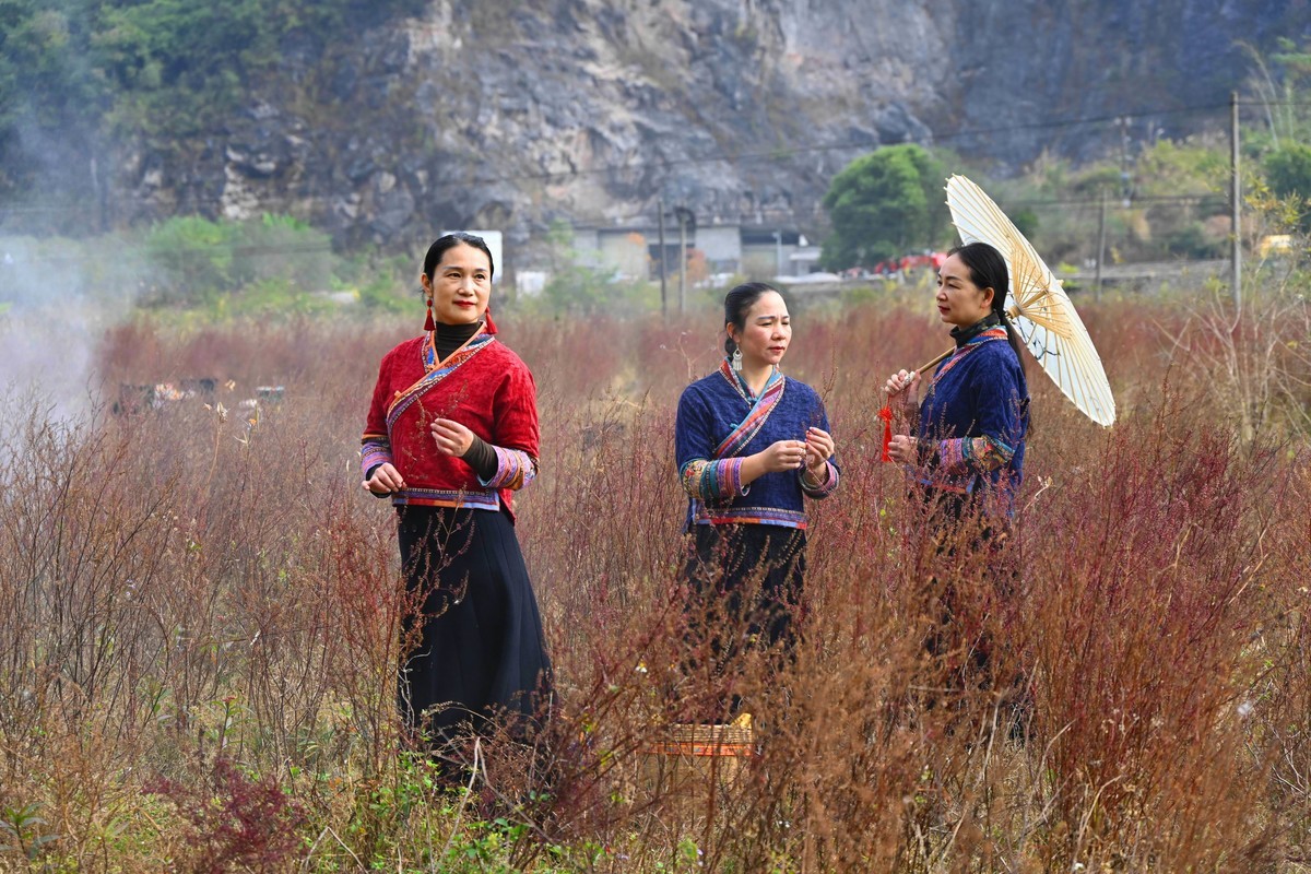 地卖粉黛园采风 1