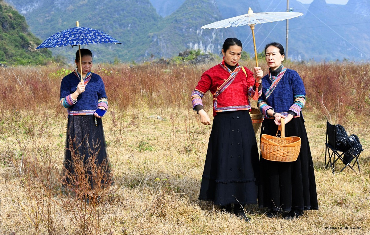 地卖粉黛园采风 1