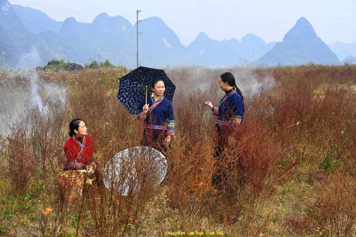 地卖粉黛园采风 1