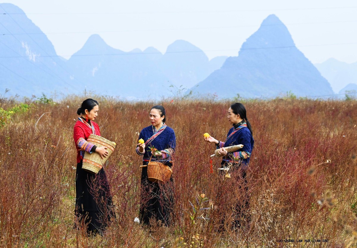 地卖粉黛园采风 1