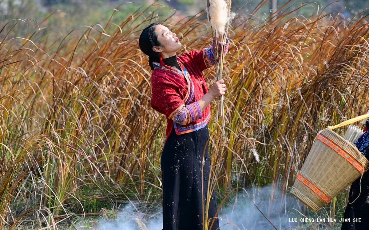 地卖粉黛园采风 2