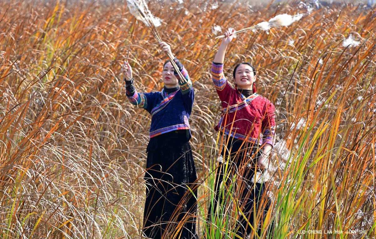 地卖粉黛园采风 2