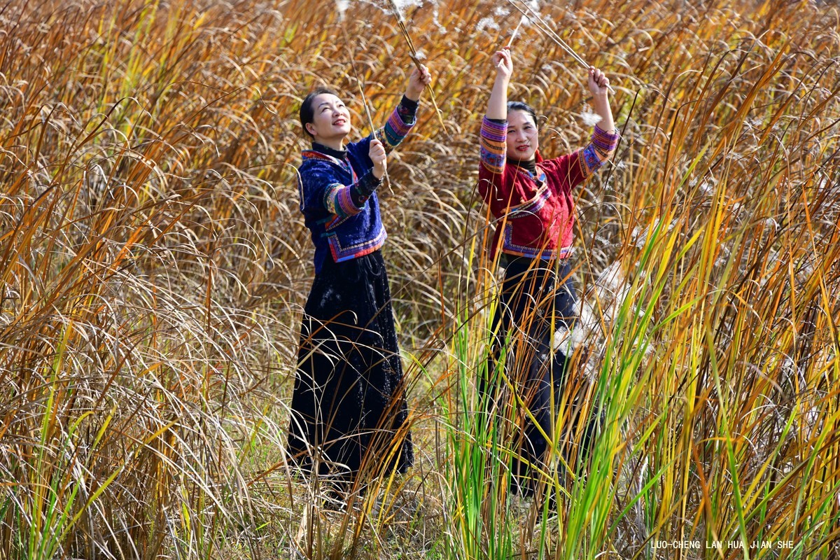 地卖粉黛园采风 2