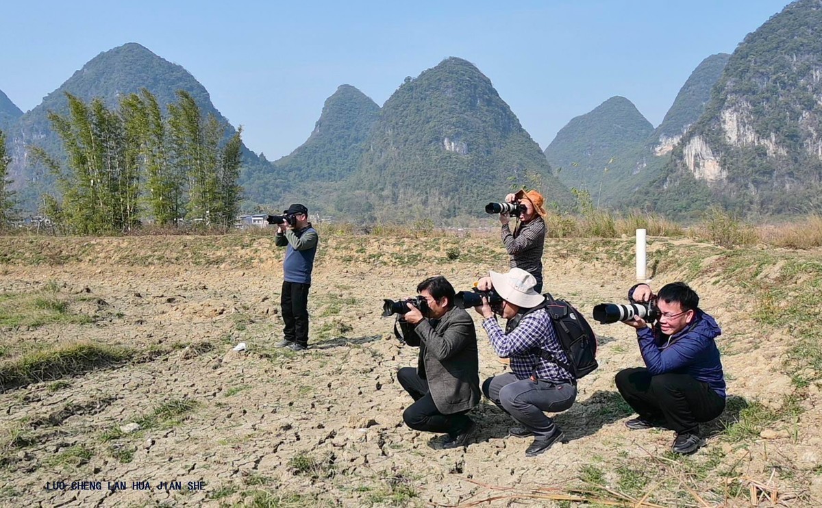 地卖粉黛园采风 2