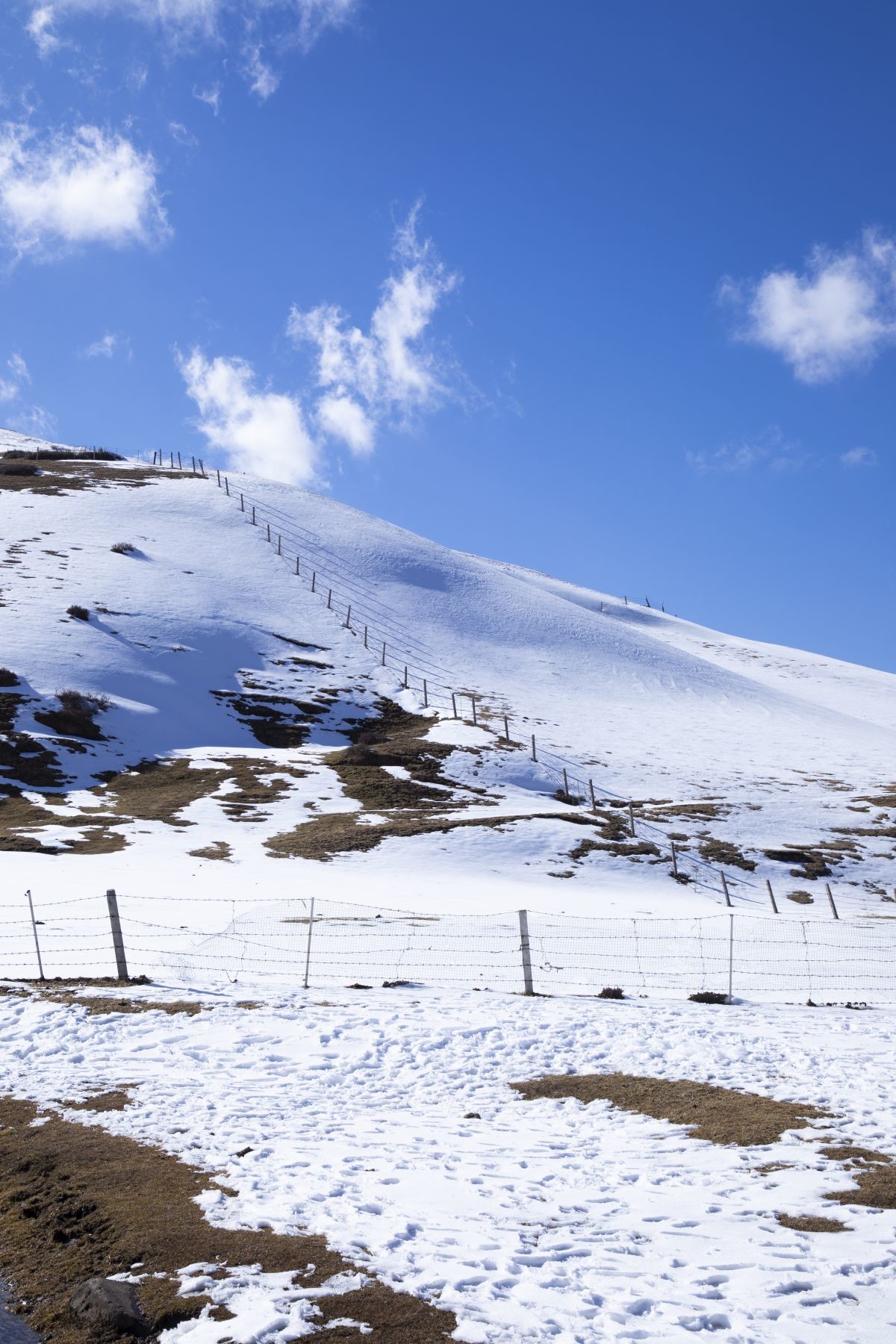 会泽大海草山雪景图片