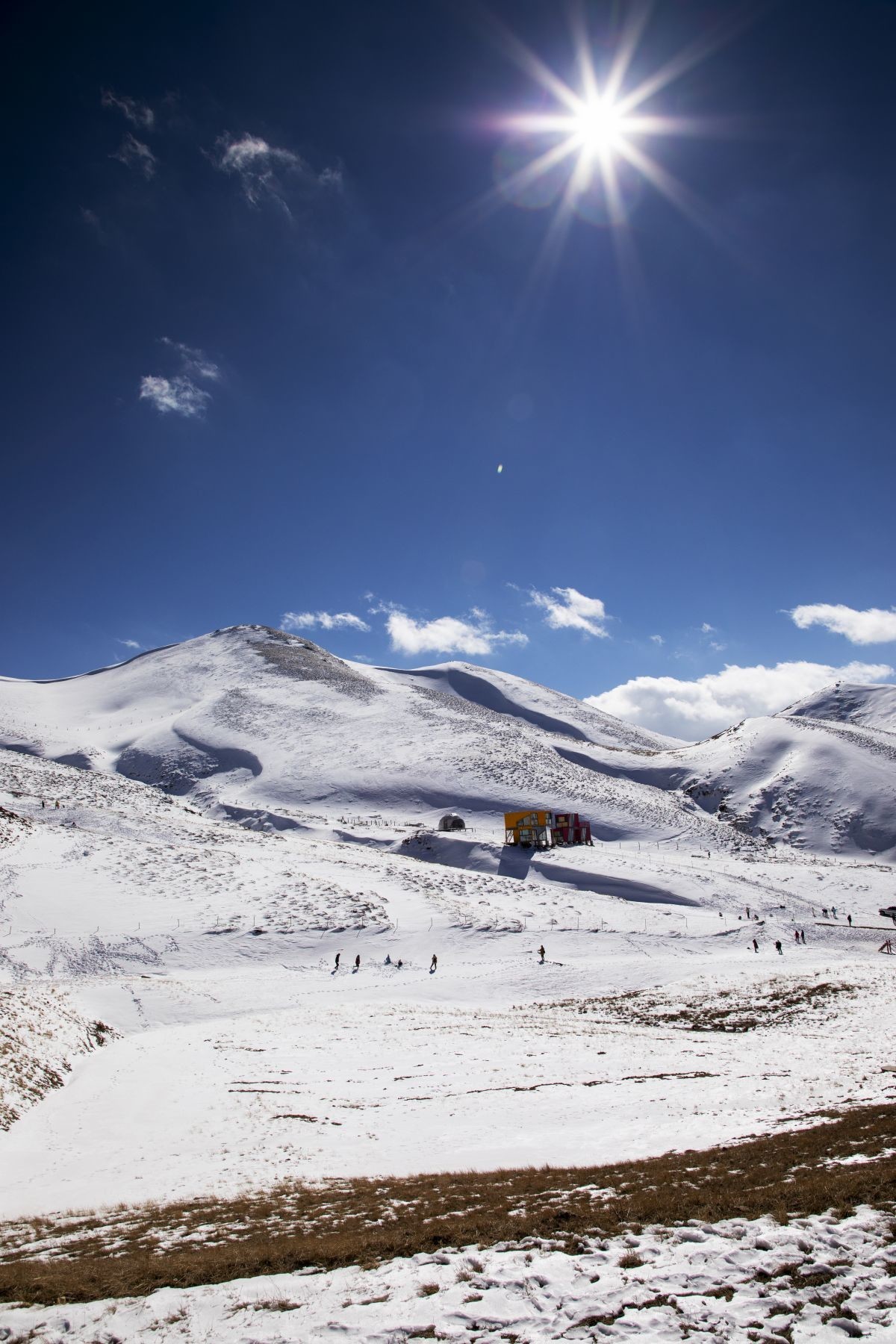 会泽大海草山雪景图片