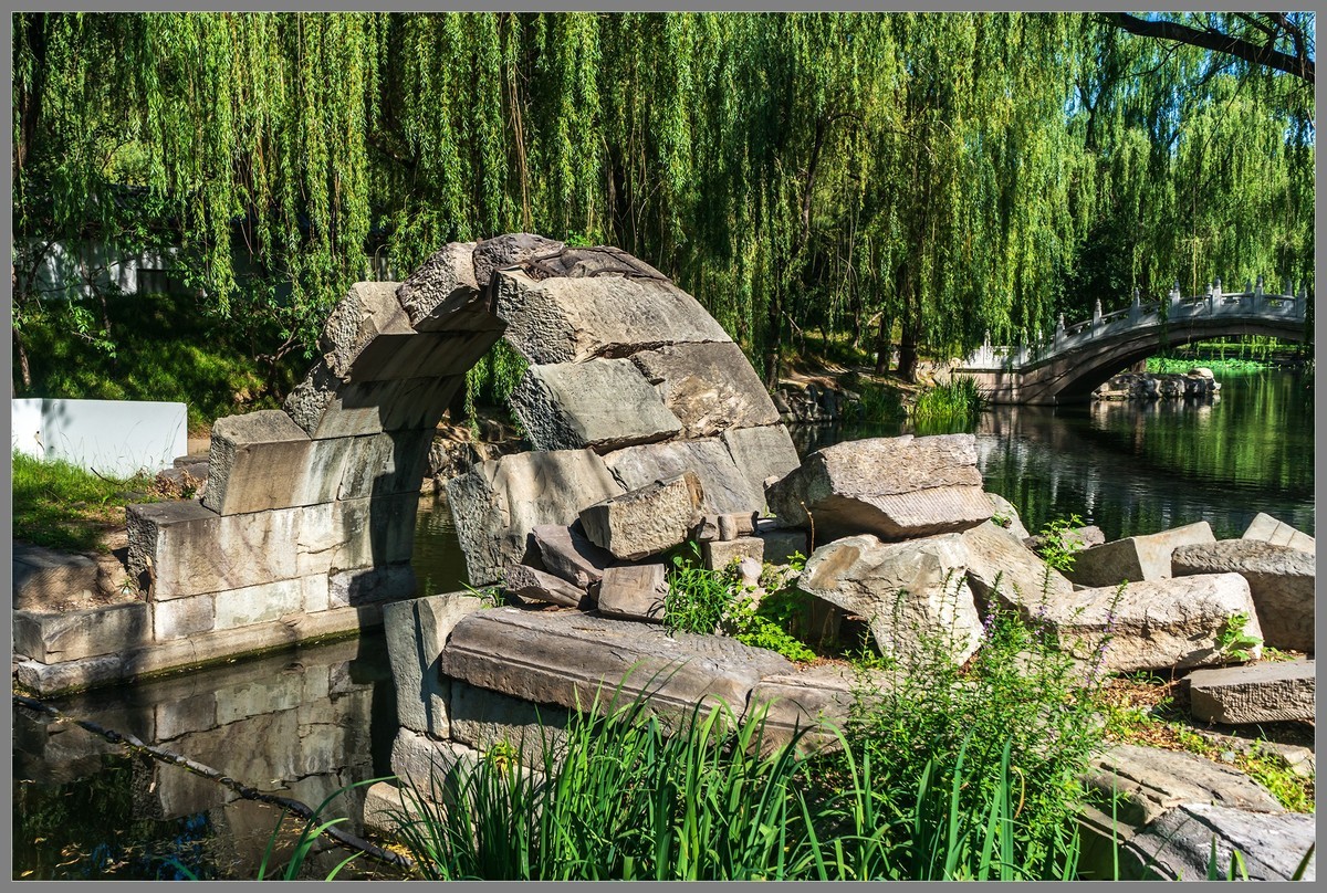 夏日圆明园随拍