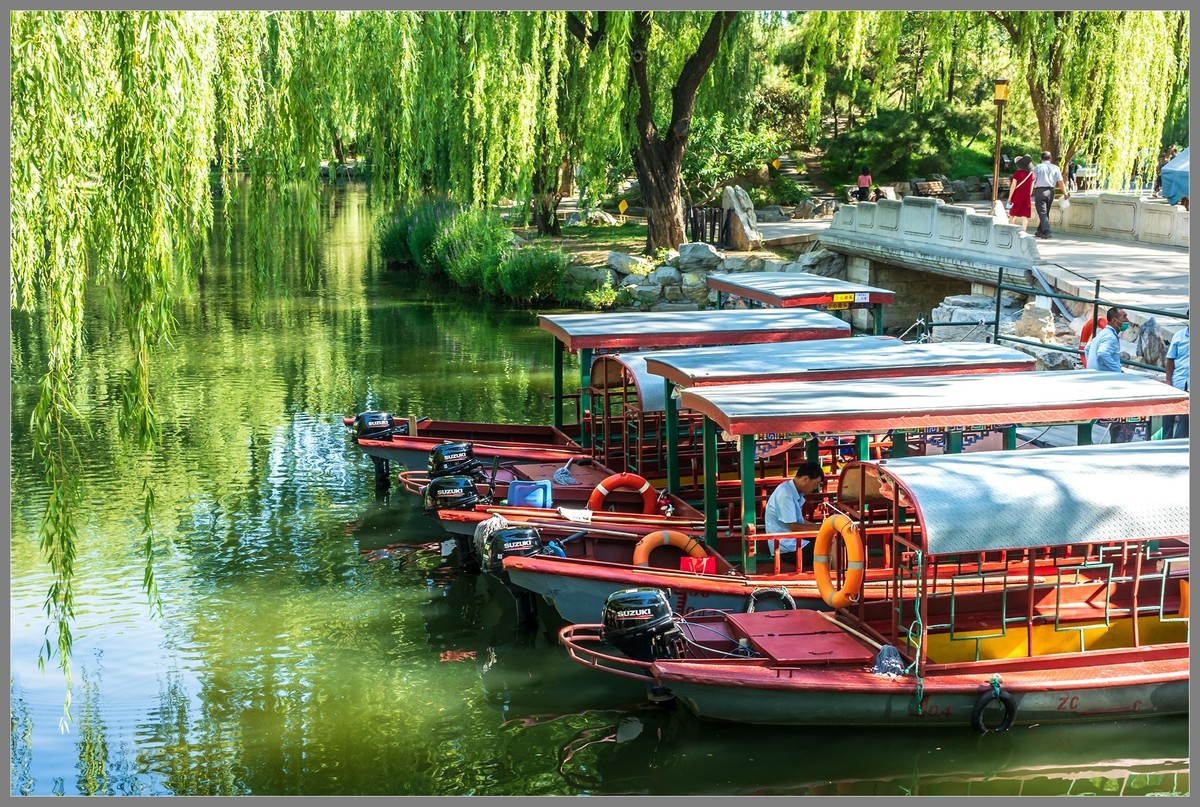 夏日圆明园随拍