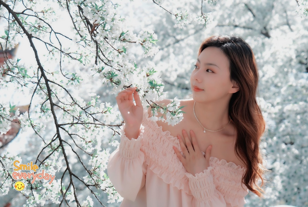 美丽的樱花盛开时…