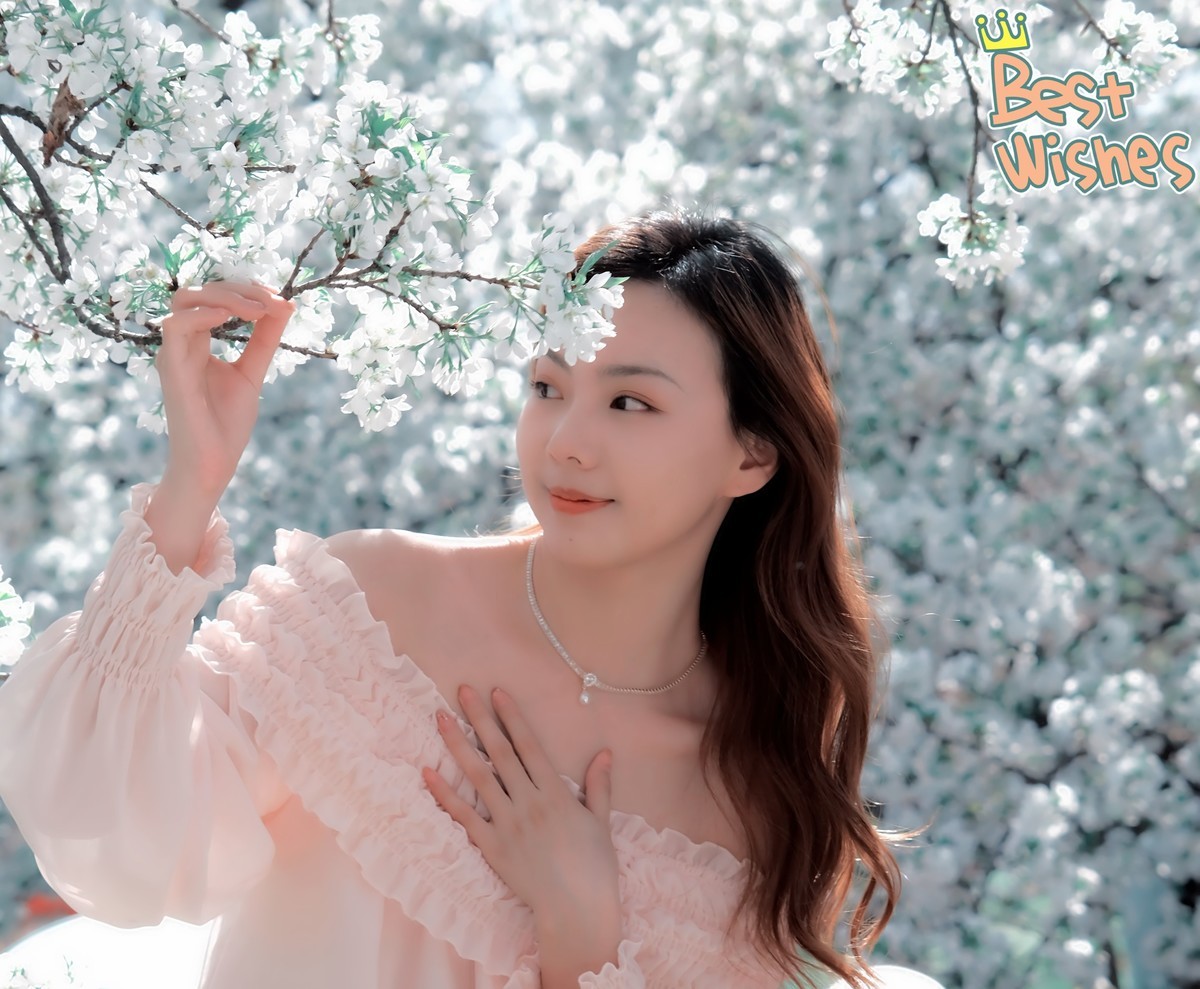 美丽的樱花盛开时…