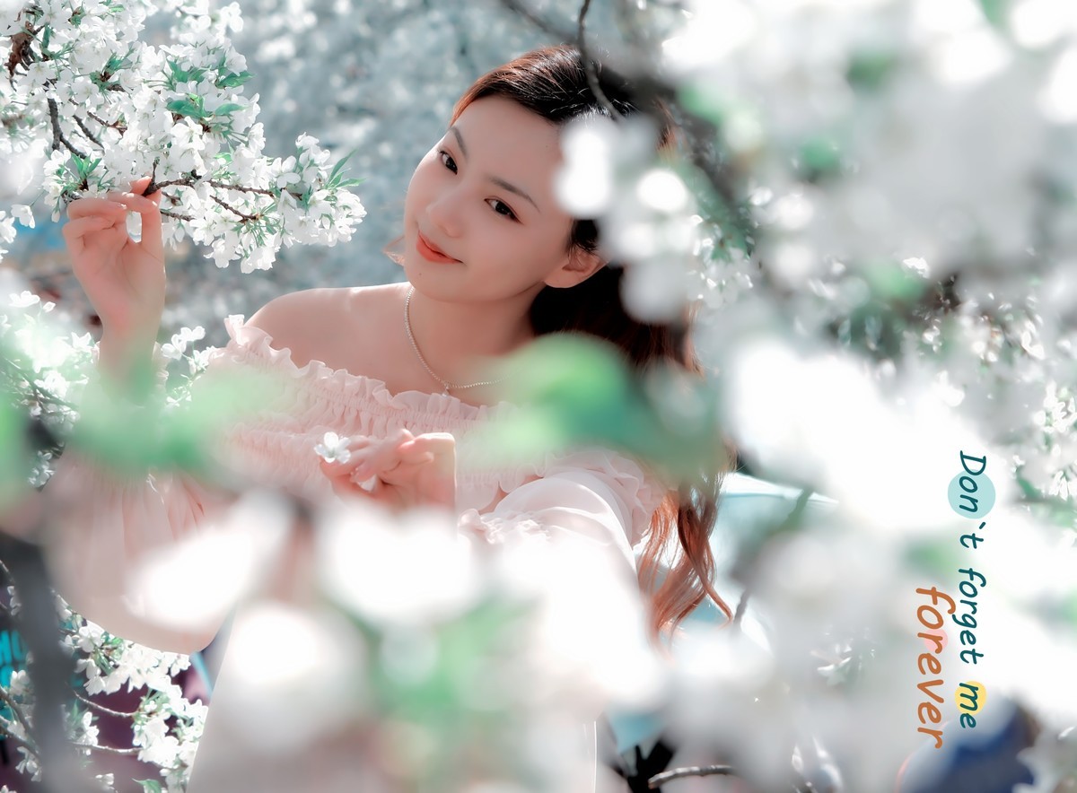 美丽的樱花盛开时…