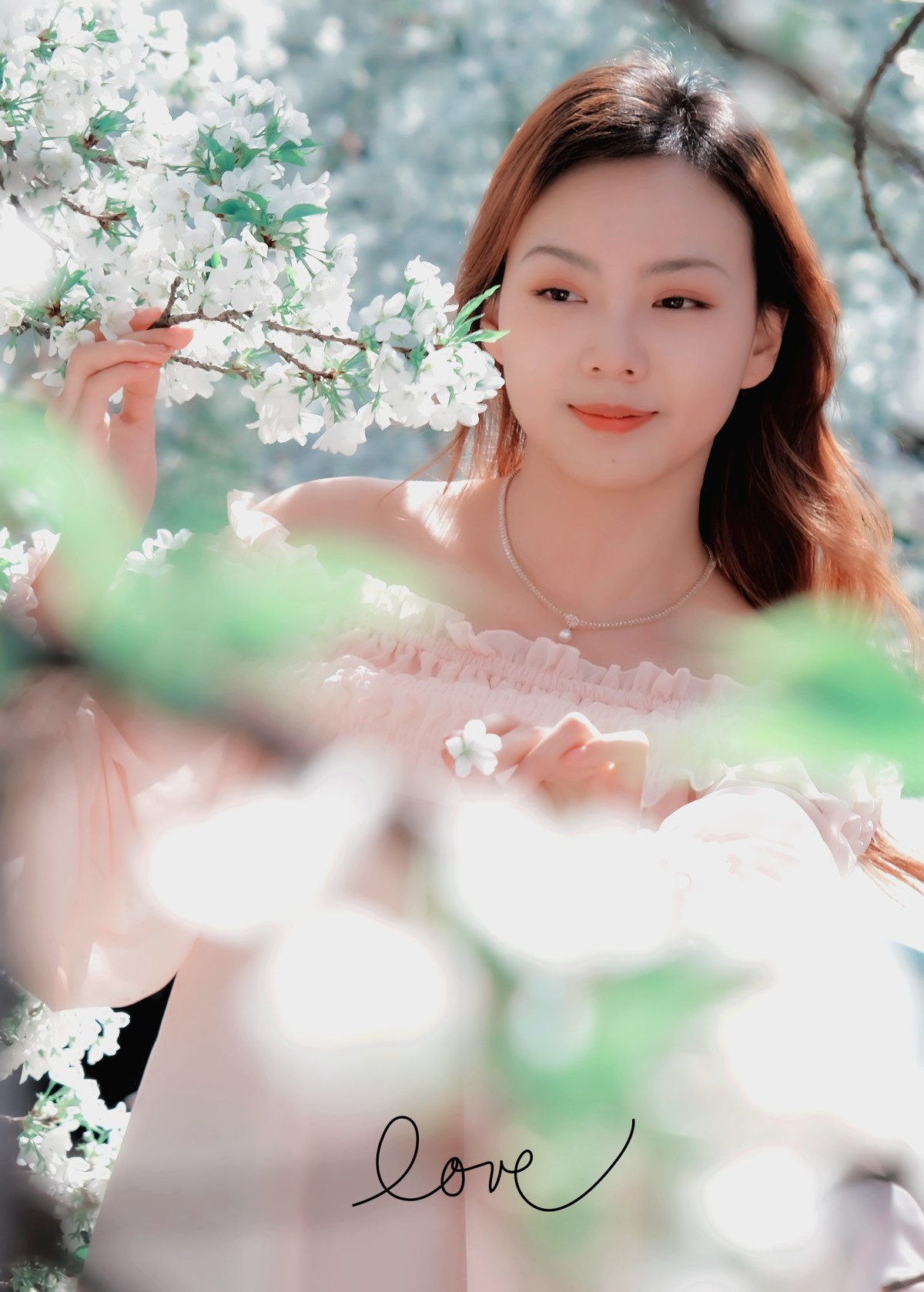 美丽的樱花盛开时…