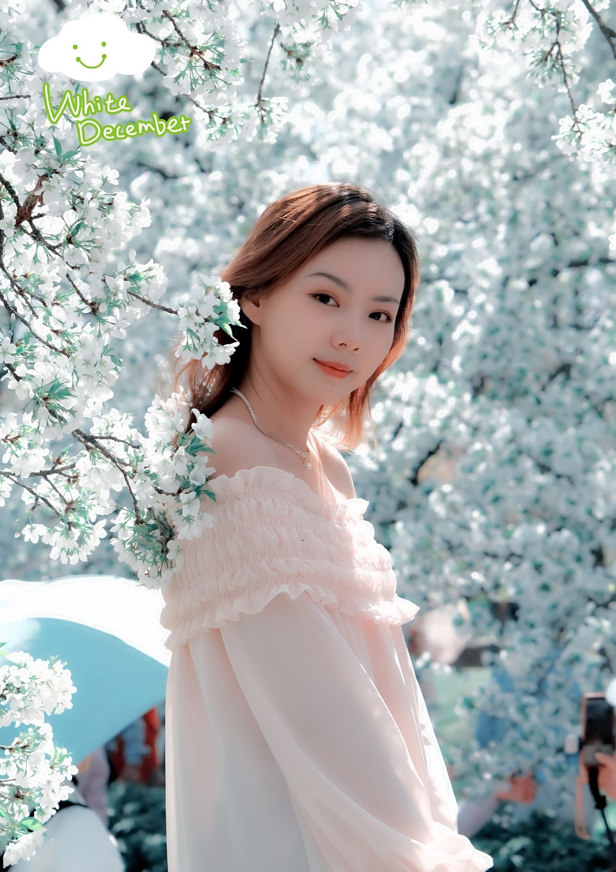 美丽的樱花盛开时…