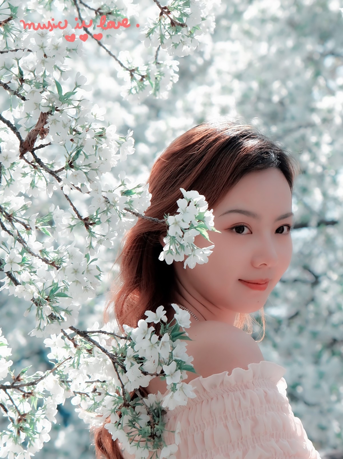 美丽的樱花盛开时…