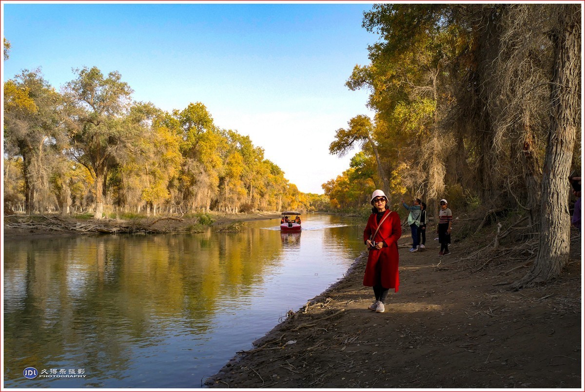 2024-（029）轮台塔里木河胡杨林（十二）