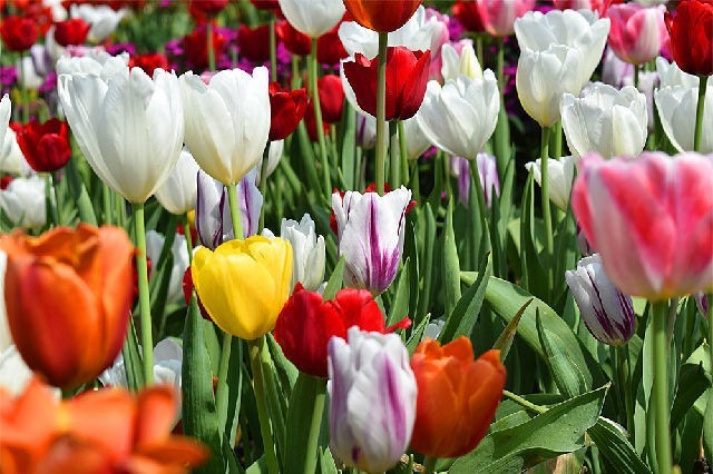 醉美厦门·记录