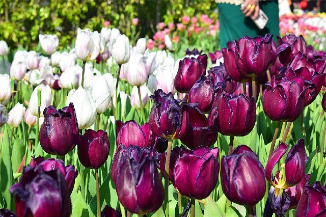 醉美厦门·记录