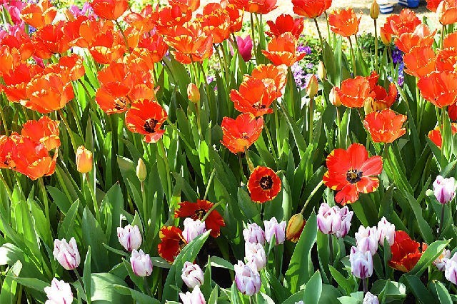 醉美厦门·记录