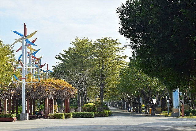 醉美厦门·记录