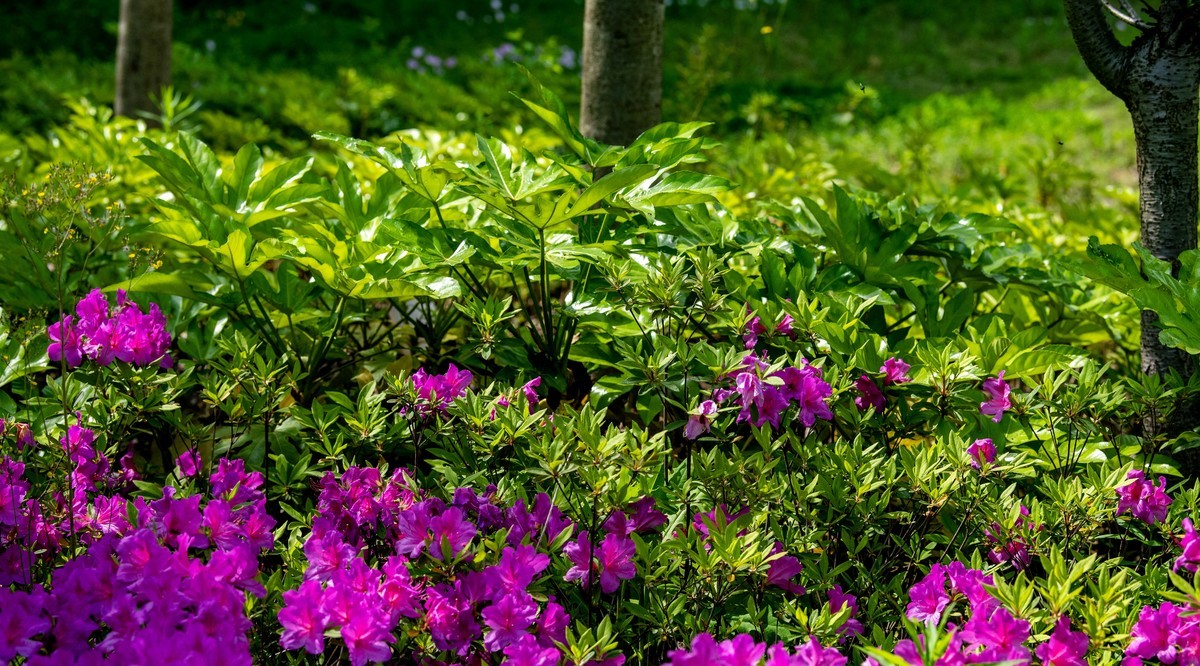 庐州印象（325）南淝河码头主题公园