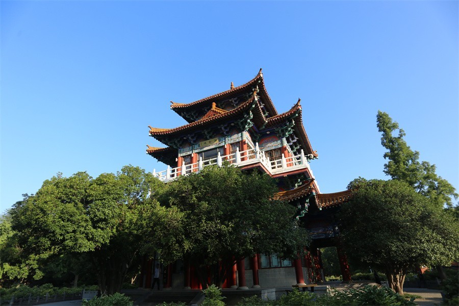 暑期的洛阳王城公园印象