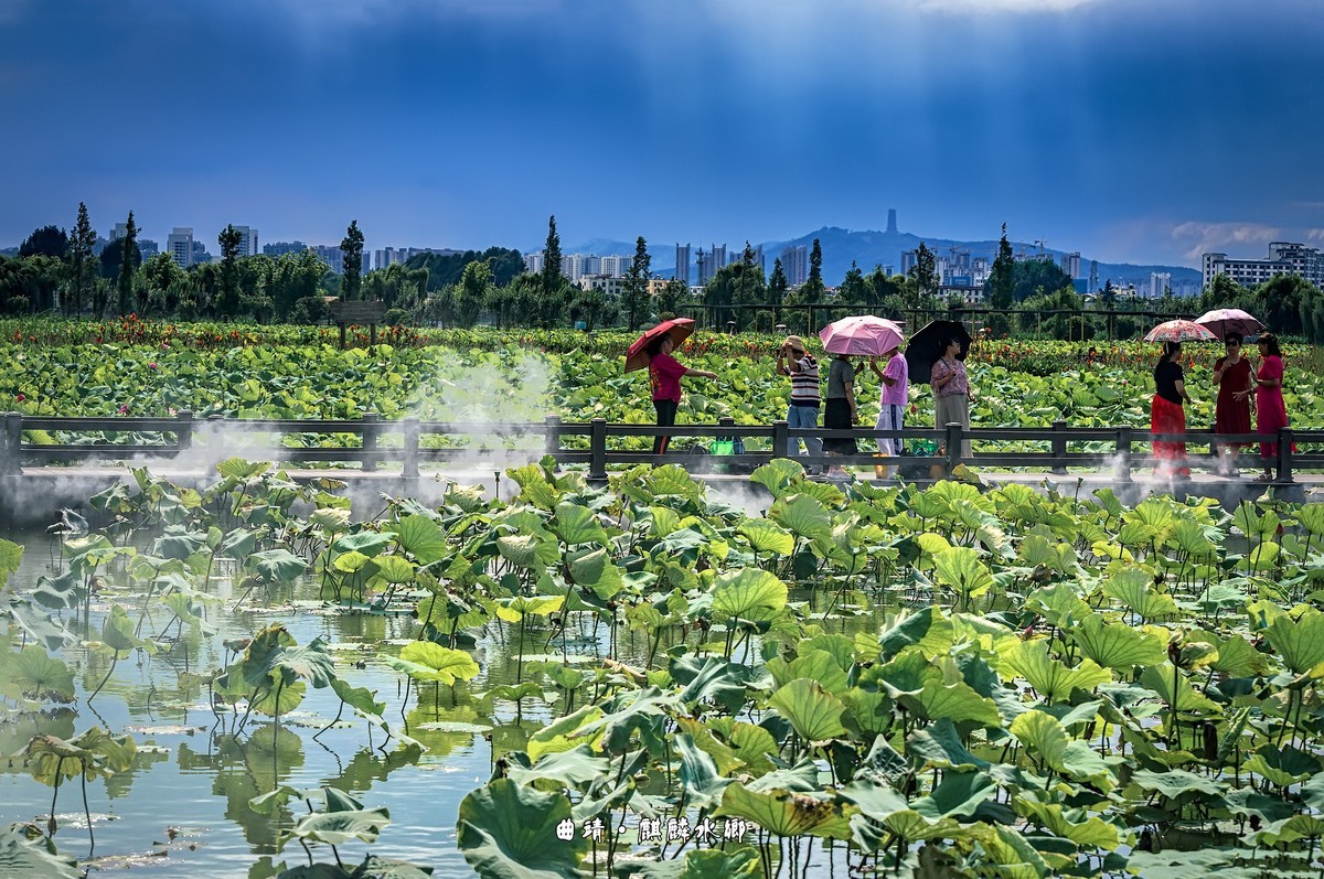 曲靖 · 麒麟水乡（3）