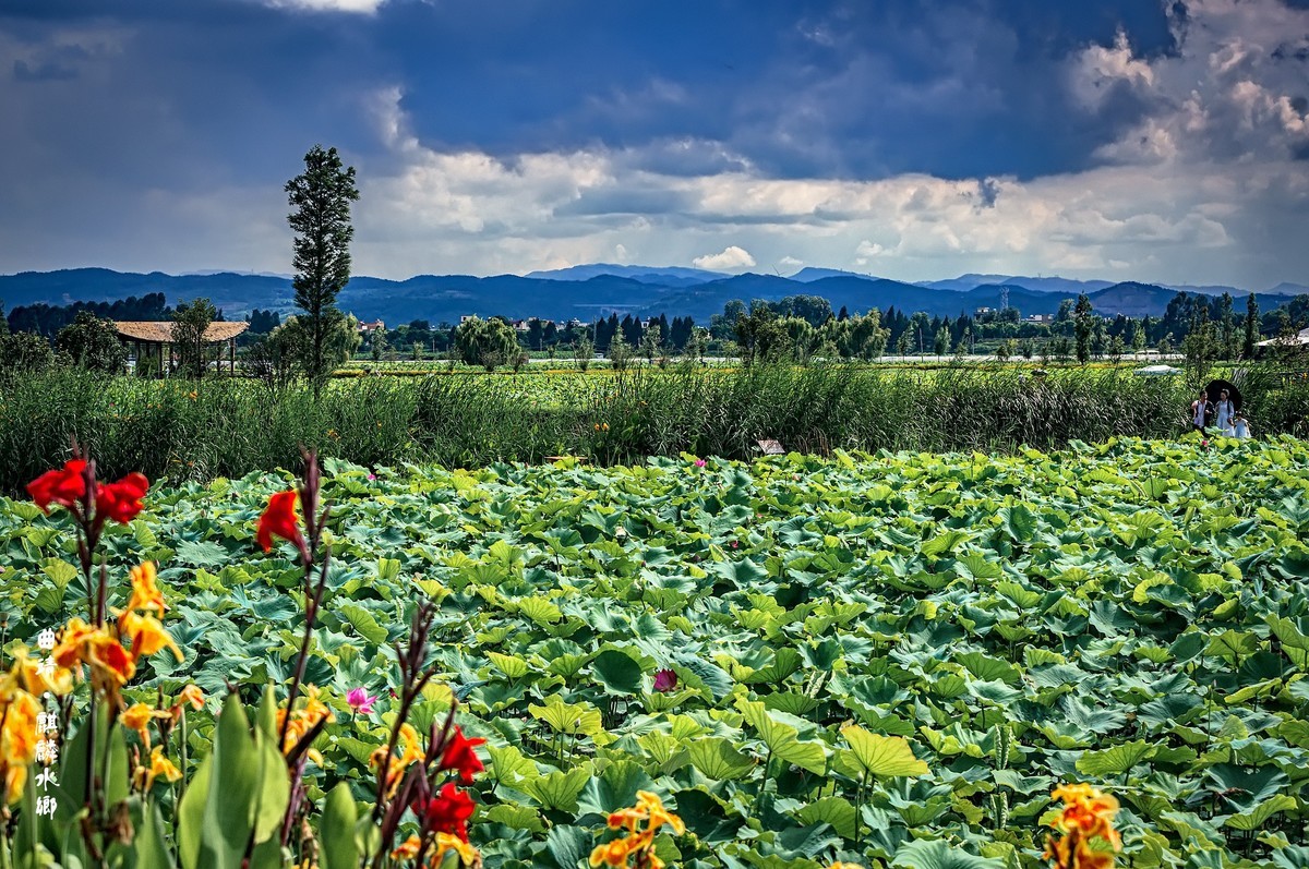 曲靖 · 麒麟水乡（3）
