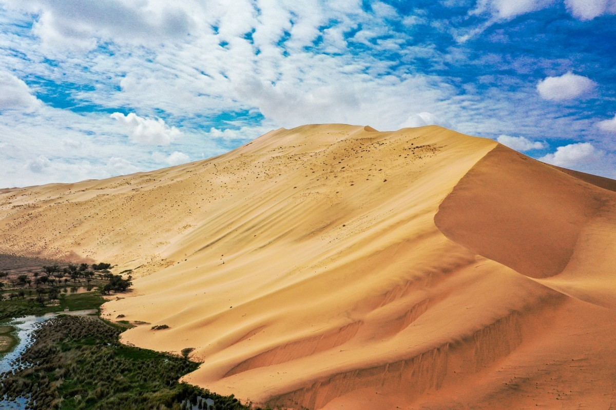 外出随拍（续245）.