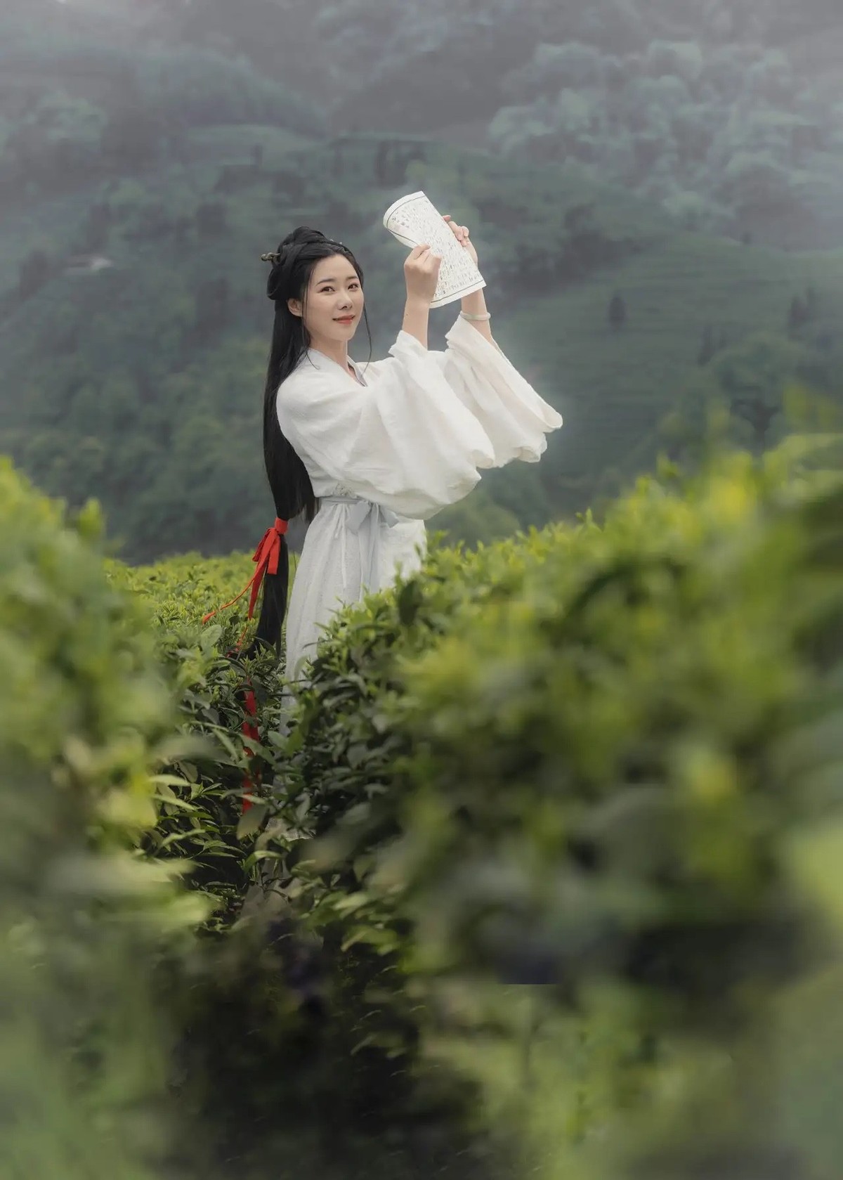 茶山姑娘俏模样