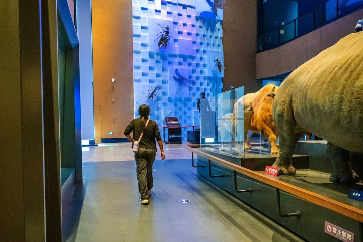 参观古生物馆—(再续)