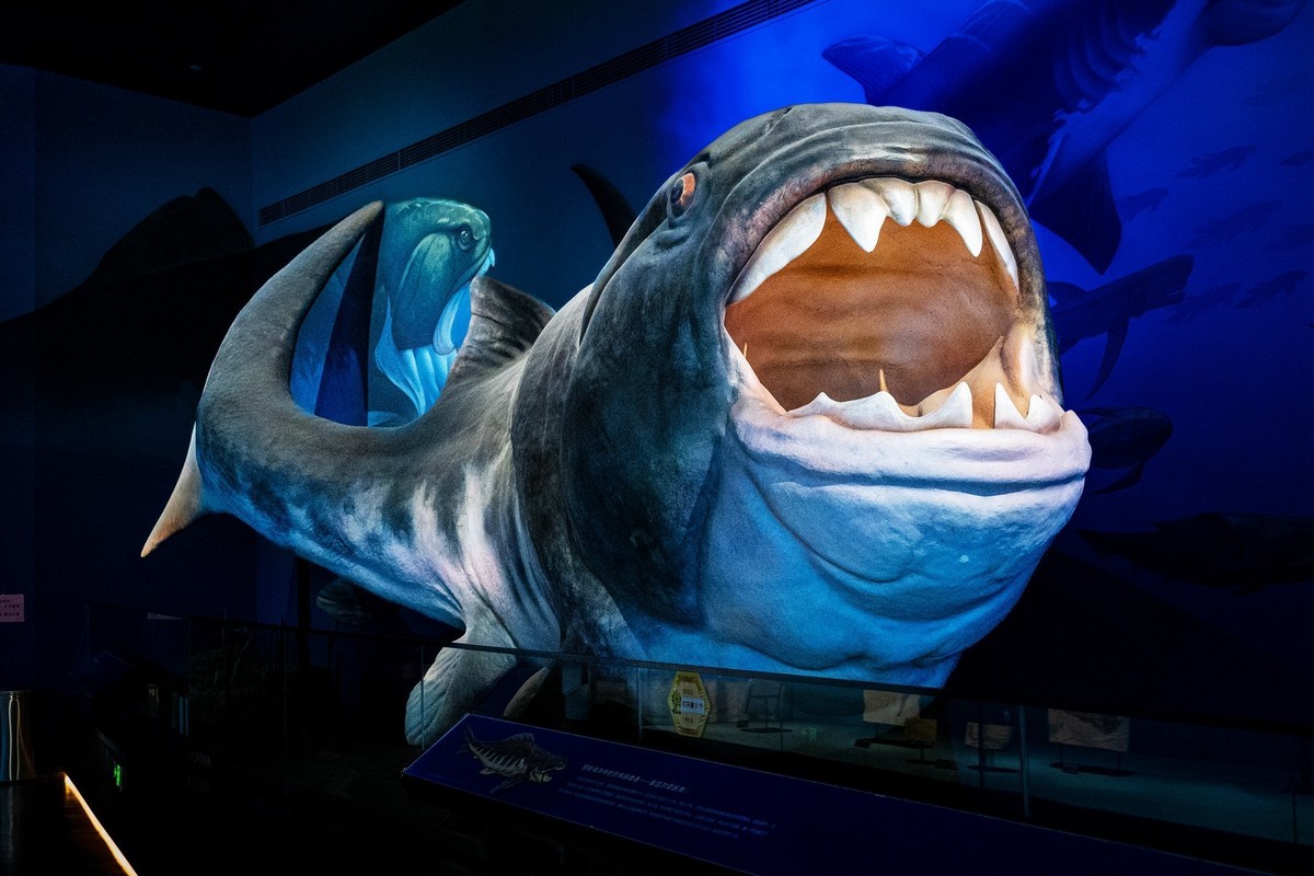 参观古生物馆—(再续)