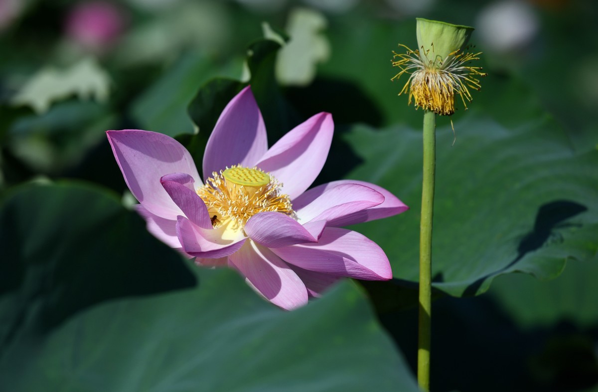 2024年回顾/夏了拍