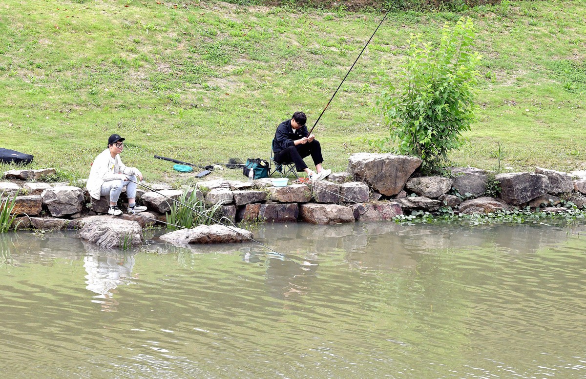 2024年回顾/夏了拍