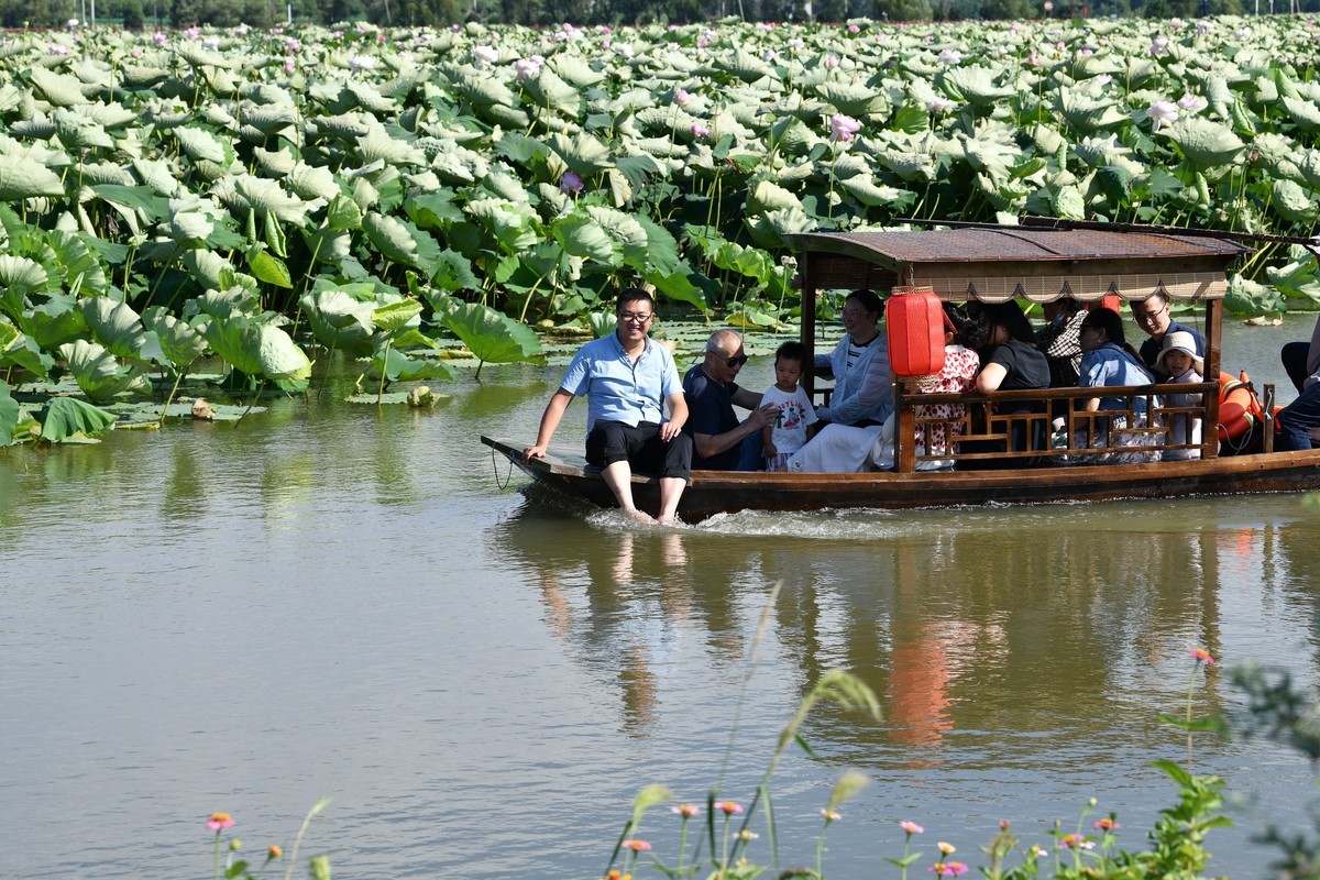 2024年回顾/夏了拍