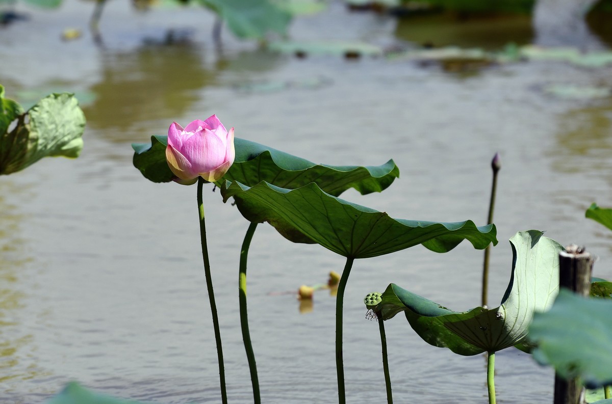 2024年回顾/夏了拍