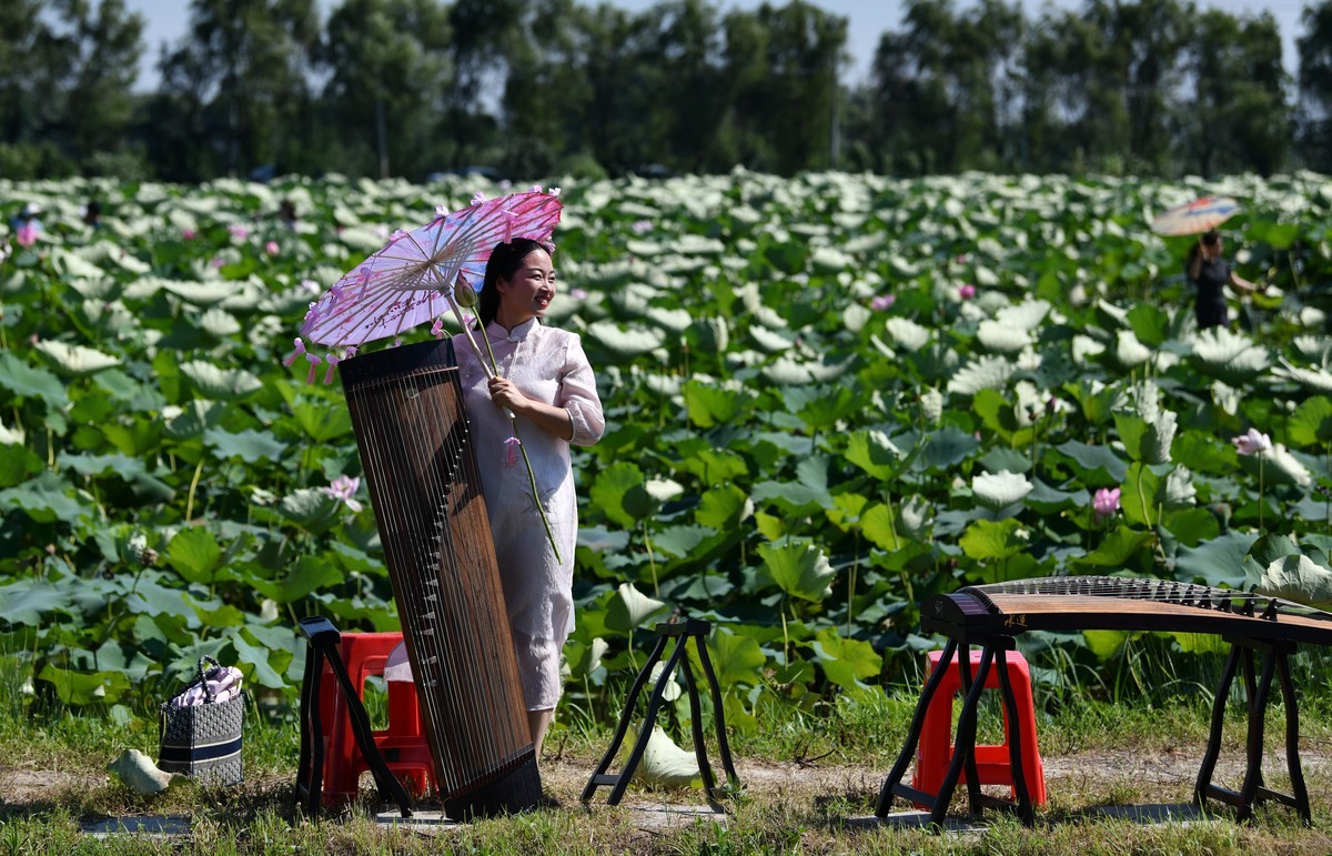 2024年回顾/夏了拍