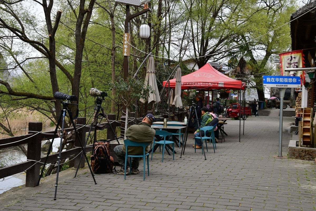 我只是把出去看到的随手记录下来（131）