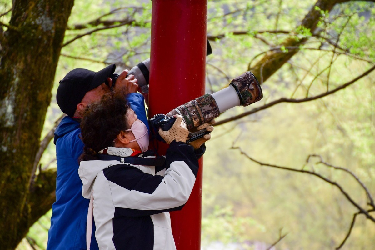 我只是把出去看到的随手记录下来（131）