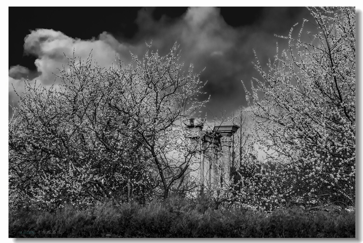 圆明园遗址--习作