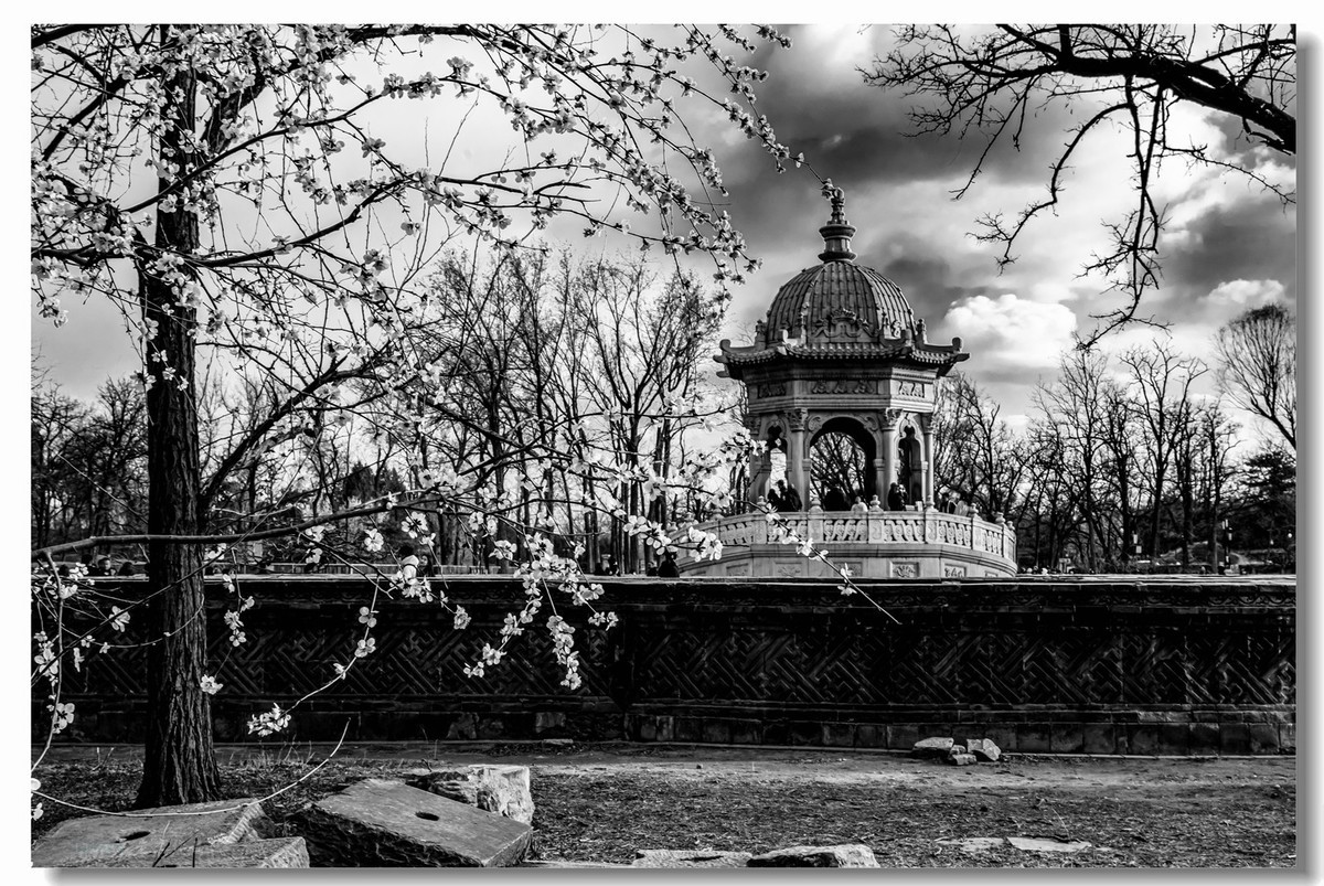 圆明园遗址--习作