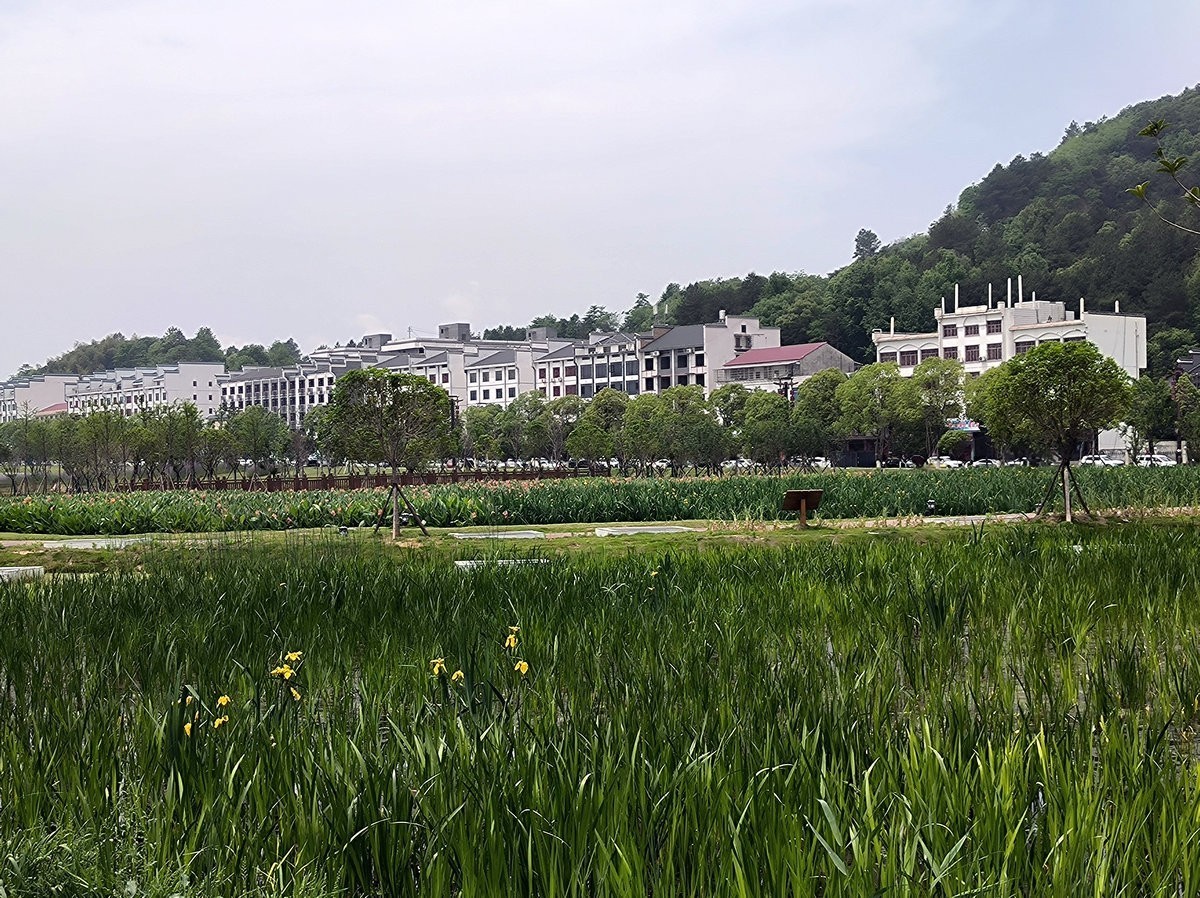 2025春夏之季 湘赣边（7）衡山米粉